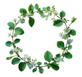 round natural frame with flower leaf pattern, ai generated