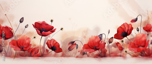 Red poppies to remember the fallen and the valiant effort of war. POPPIES ANZAC. banner. copy space photo
