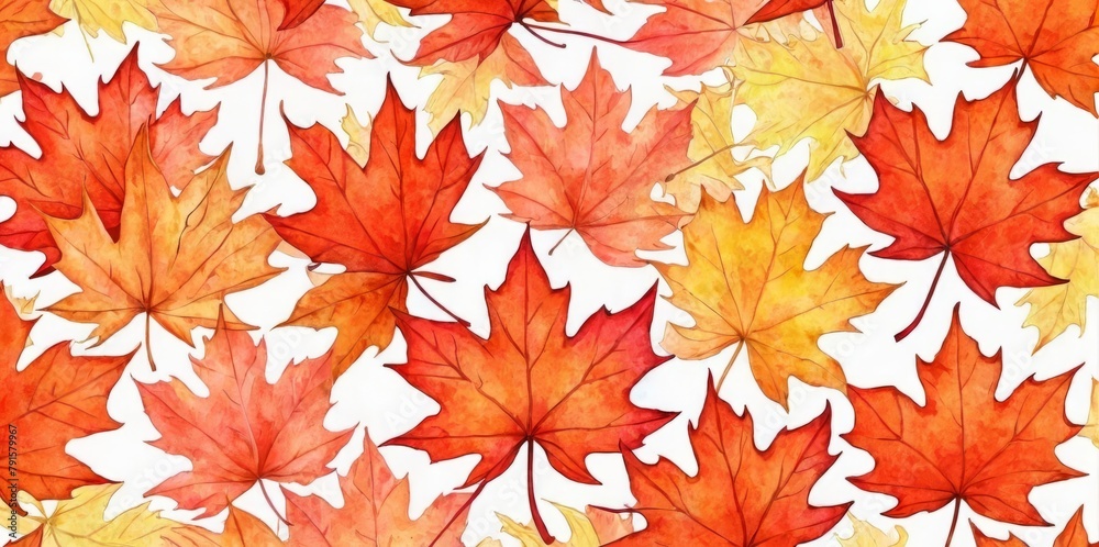Watercolor Illustration of a Maple Leaf Pattern Watercolor Illustration of a Maple Leaf Pattern