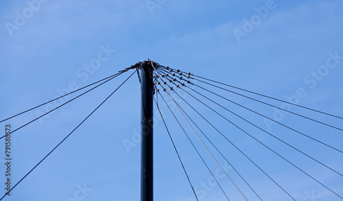 metal pole with lots of wires running in different directions
