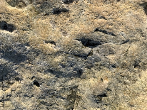 Close up shot of dramatic dark rocks, covred in bright lichen. background or texture. slabs background