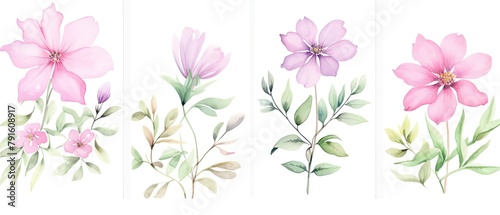 Vibrant Watercolor Flower Illustrations  A Delicate Collection of Floral Art