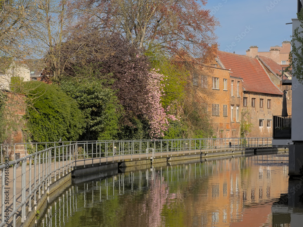 Borders of river Dijle in Mechelen, Belgium, with pedestrian path along brick houses and colorful spring trees on a sunny sday 