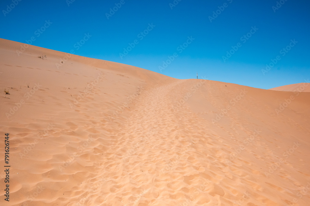 Landscape view of a desert sand dune covered in footsteps. Landscape view of a desert sand dune covered in footsteps.