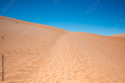 Landscape view of a desert sand dune covered in footsteps.