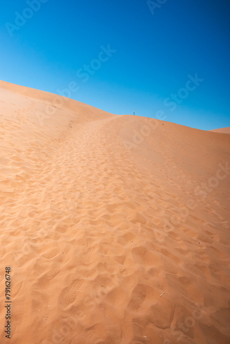 Landscape view of a desert sand dune covered in footsteps.