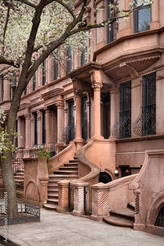 Harlem Brownstones and Townhouses with stoop steps in Mount Morris Park Historic District. Spring in Manhattan, New York City