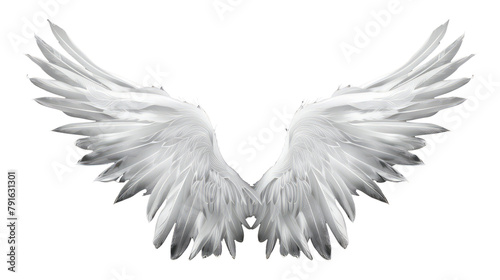 angel wings isolated on white © zakariastts