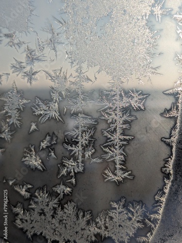 pattern on window