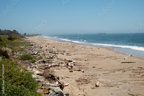 beach landscape witj wood in California near Santa Barbara with driftwood