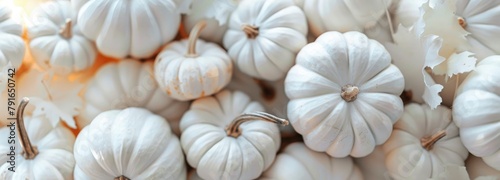 White pumpkins in the midst of a fall harvest celebration photo