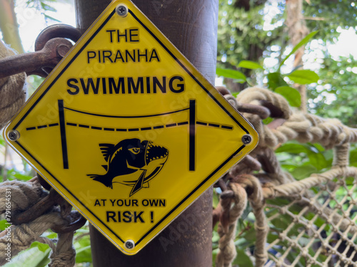 The Piranha alert -  swimming - Risk photo