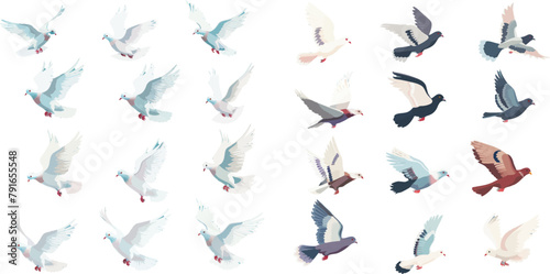 Bird motion wings in heaven, birds sequence frame