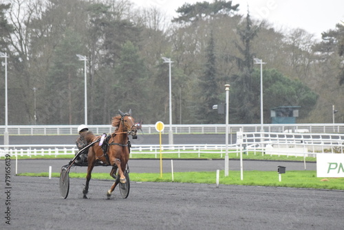 Foto Cheval de course