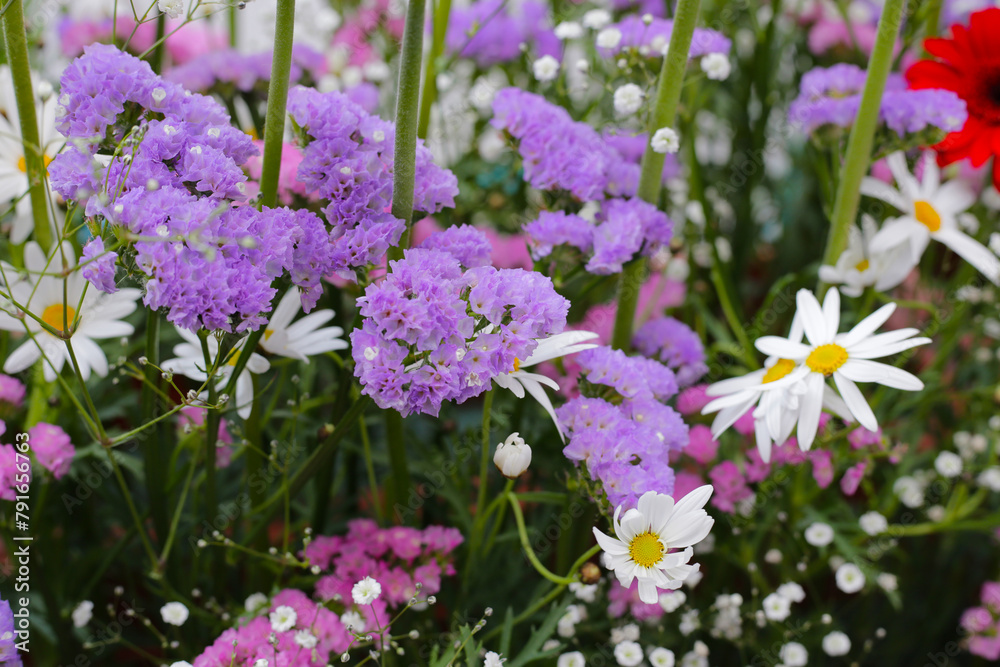 Beautiful flower bouquet, Flower background. Beautiful flower bouquet, Flower background.
