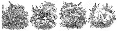 Vector set of 4 forest bushes with mushrooms. Fly agaric, porcini mushroom, chanterelles, honey mushrooms, forest plants, flowers, berries, sparrow, dragonfly, snail, butterflies
