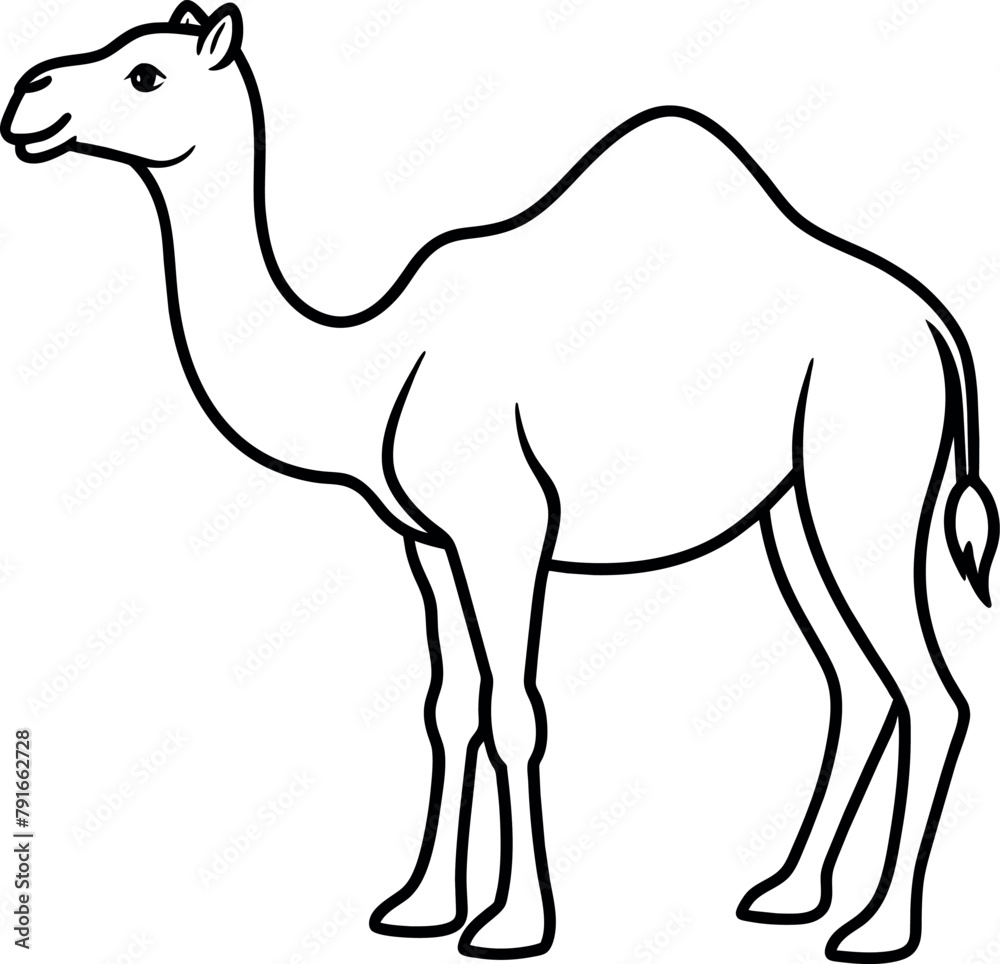 Fototapeta premium Adobe Illustrator Artwork