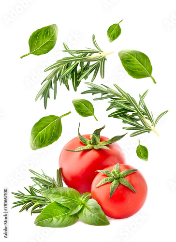 Fresh tomatoes, rosemary and basil leaves  isolated on white background.