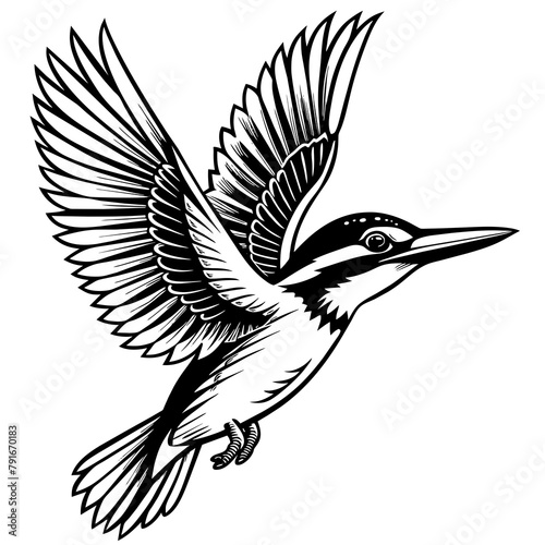 illustration of a bird vector art  photo