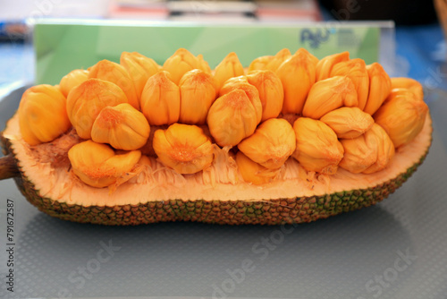 fruit, thailandfruit, cempedak, is a species of tree in the family Moraceae, in the same genus as breadfruit and jackfruit 
