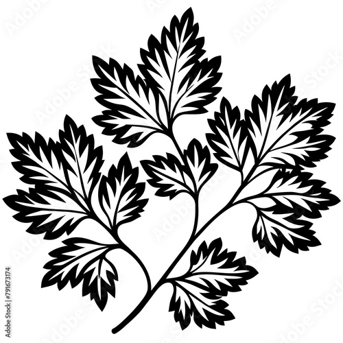 set of black silhouettes of leaves