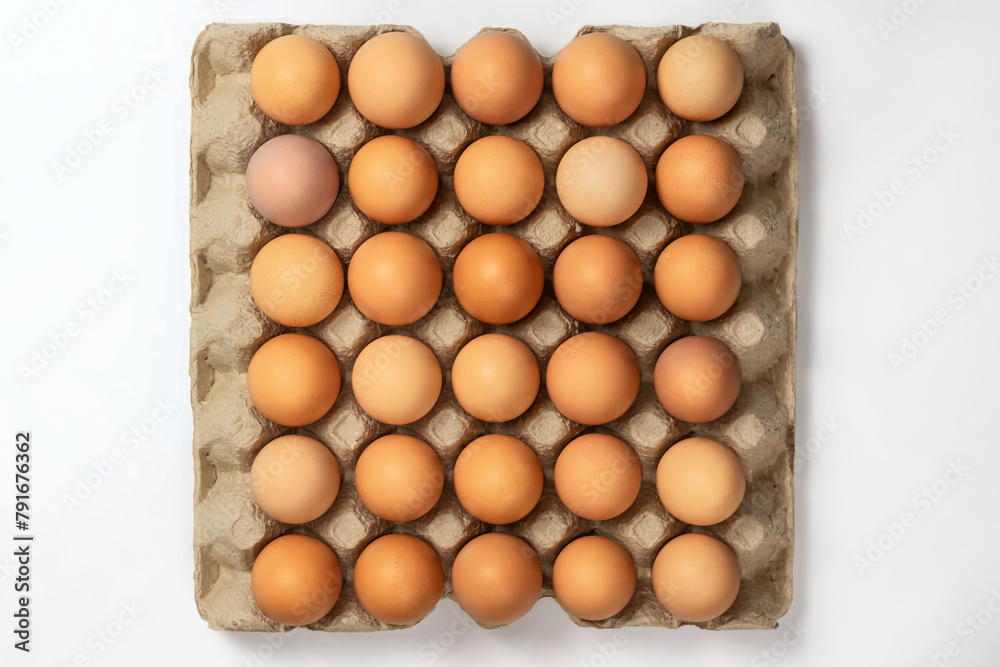 Eggs in paper tray isolated on white. Close-up of raw chicken eggs in a paper tray. A group of fresh white eggs in a paper carton. Top view Eggs in paper tray isolated on white. Close-up of raw chicken eggs in a paper tray. A group of fresh white eggs in a paper carton. Top view