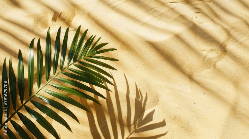 Fototapeta premium Aesthetic Palm Leaf on Shadow on white Sand Background Texture