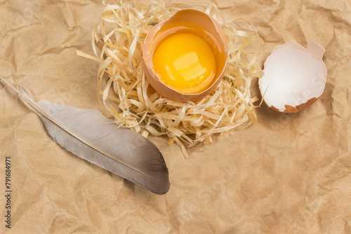 Broken egg on straw. Eggshell and bird feather on table.