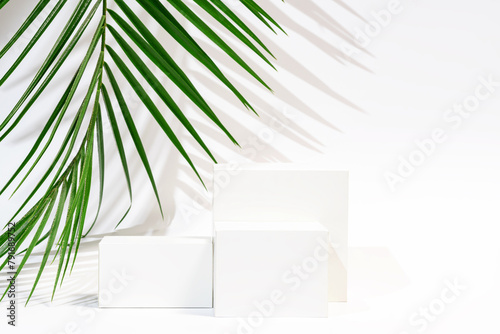 Minimalist product display podiums with tropical palm leaf photo