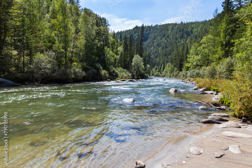 Summer landscape of mountain river with sandy beach, clear blue transparent water and green forest along banks on sunny day. Natural background. Ukhgun river, Nilovka, Tunka, Buryatia, Baikal region photo