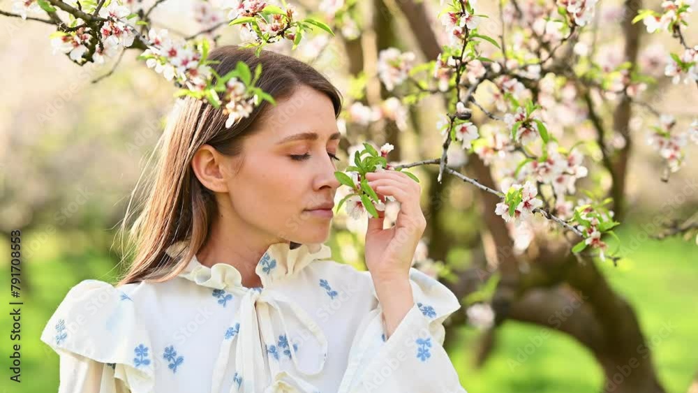 Close up video of young beautiful woman smelling almond blossoming flowers in orchard. Close up video of young beautiful woman smelling almond blossoming flowers in orchard.