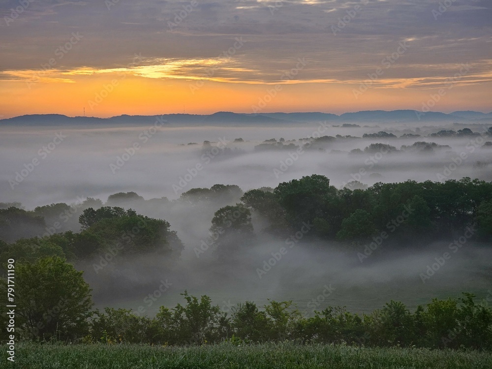 Foggy Sunrise