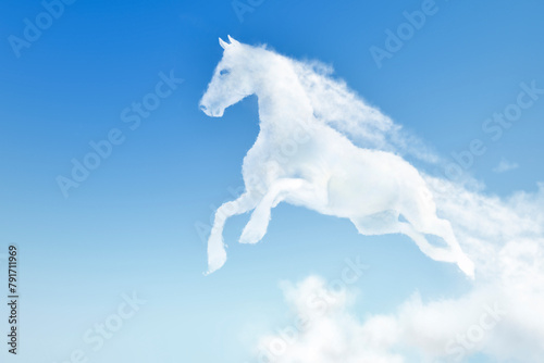 The Horse clouds shape. The symbol of the year 2026 according to the Chinese calendar.