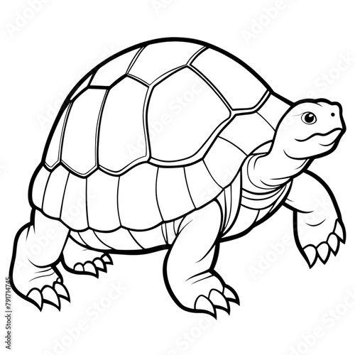 Illustration of a turtle on a transparent background