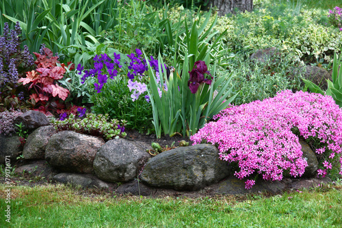 Spring flower bed in may. Behind a border from large stones many plants grow and blossom. The bright blossoming phlox subulata and leaves heuchera. Blue-violet flowers of an ajuga, viola and iris.
