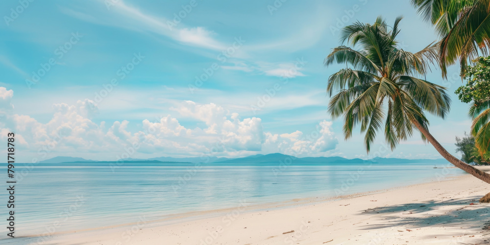 Palm tree on tropical beach with blue sky and white clouds, summer holiday background with copy space