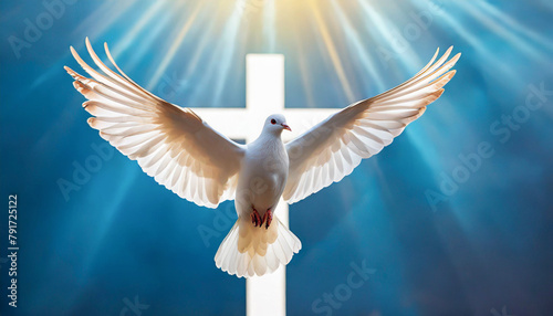 With pigeon in front of a white crucifix. Pentecost concept.