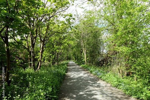 Ebury Way walking and cycling path between Rickmansworth and Watford in Hertfordshire, England, UK
