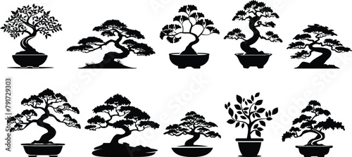 Set of bonsai trees, vector illustration. photo