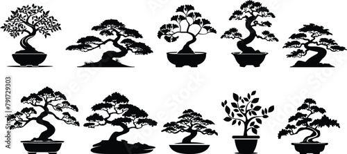 Set of bonsai trees, vector illustration.