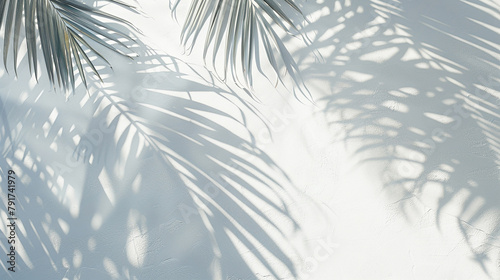 Abstract palm leaf shadows casting delicate patterns on a blank white canvas, signaling the arrival of summer. photo