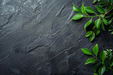 Black slate background with green leaves