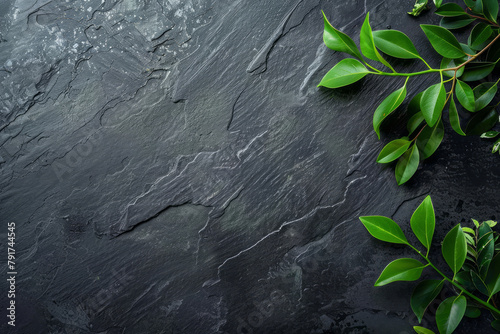 Black slate background with green leaves photo