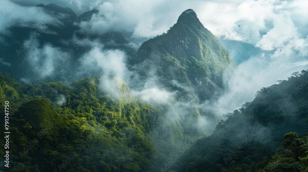 .KSA panoramic view of misty mountains and_dense  forest