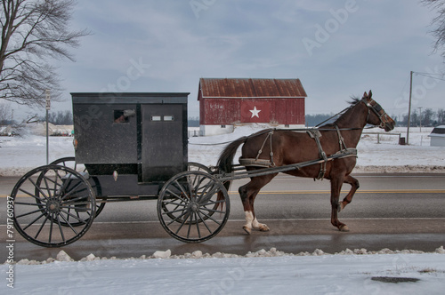 Amish horse and buggy in winter