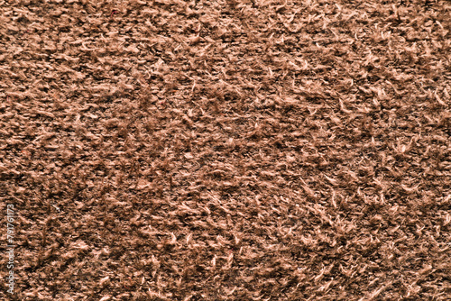a close-up shot of brown animal hiar  fur