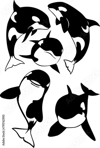 Illustration silhouette of orca whale fish, hand draw vector style