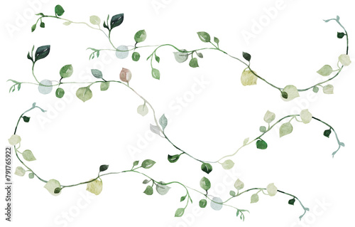 Watercolor tiny twigs with green leaves isolated illustration, botanical wedding element