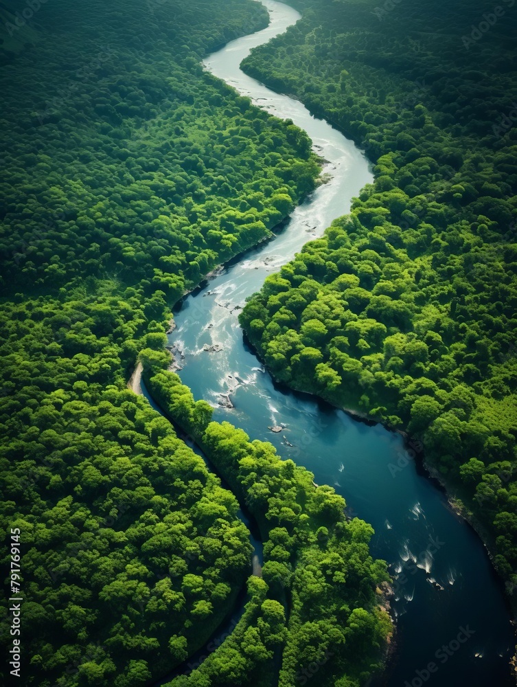 An aerial view of a river flowing through a lush green forest.