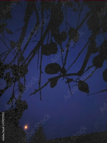 A night scene of moon 